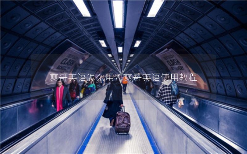 爽哥英语怎么用？爽哥英语使用教程