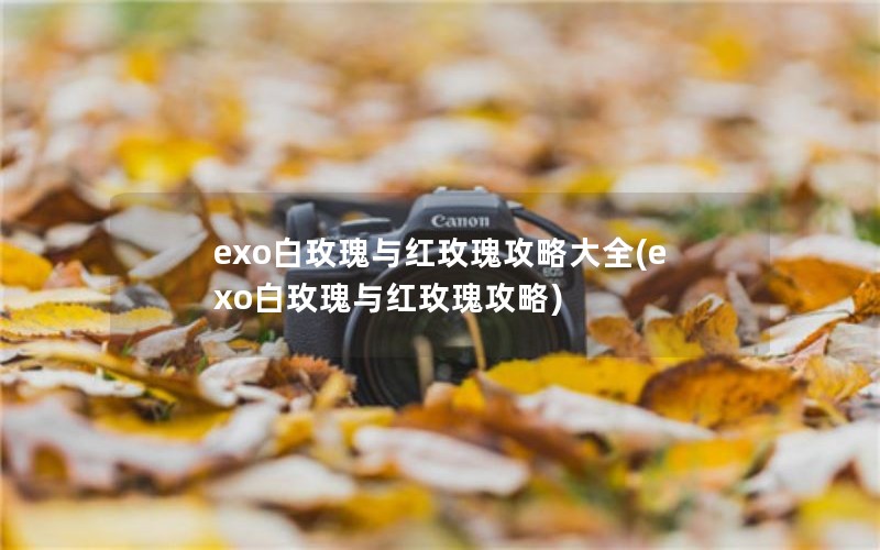 exo白玫瑰与红玫瑰攻略大全(exo白玫瑰与红玫瑰攻略)