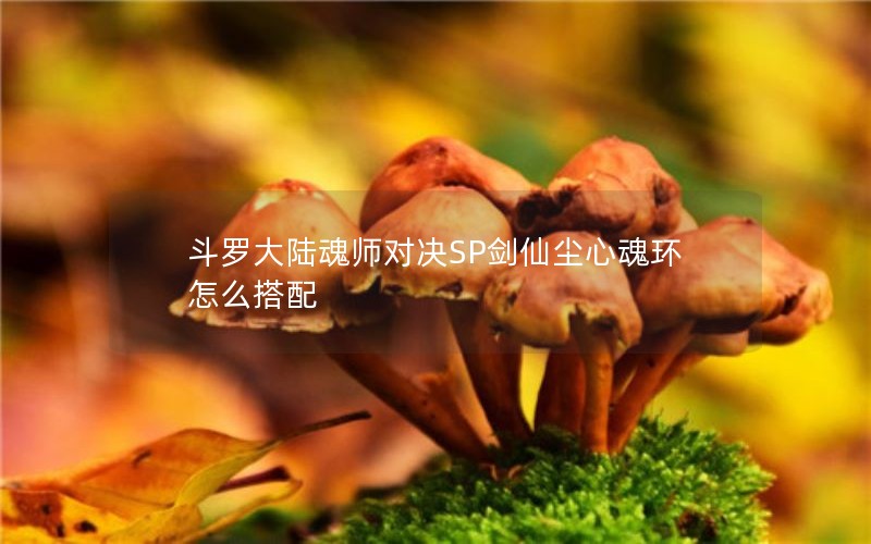 斗罗大陆魂师对决SP剑仙尘心魂环怎么搭配