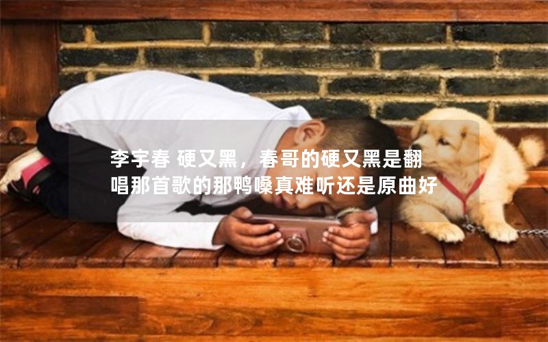 李宇春 硬又黑,春哥的硬又黑是翻唱那首歌的那鸭嗓真难听还是原曲好 李宇春 硬又黑,春哥的硬又黑是翻唱那首歌的那鸭嗓真难听还是原曲好