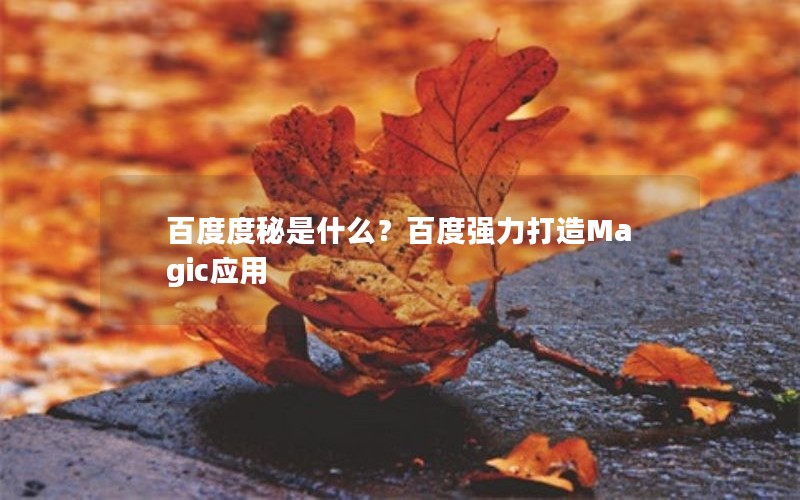 百度度秘是什么？百度强力打造Magic应用
