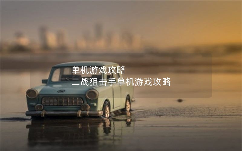 单机游戏攻略 二战狙击手单机游戏攻略