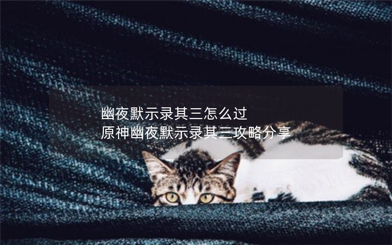 幽夜默示录其三怎么过 原神幽夜默示录其三攻略分享