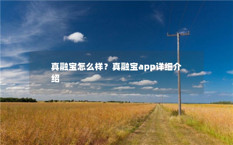 真融宝怎么样？真融宝app详细介绍
