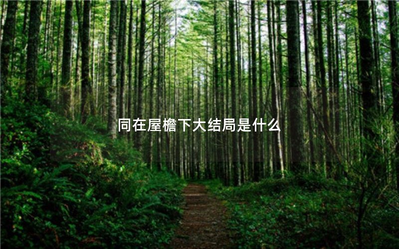 同在屋檐下大结局是什么 同在屋檐下大结局是什么