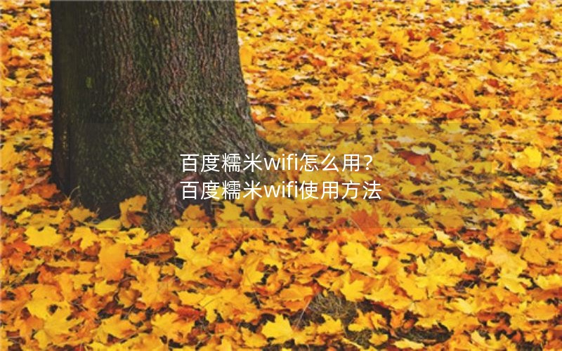 百度糯米wifi怎么用？ 百度糯米wifi使用方法