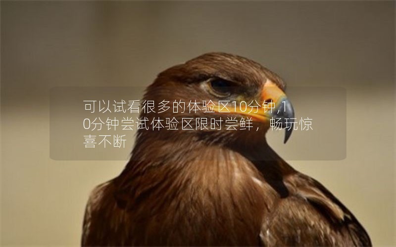 可以试看很多的体验区10分钟,10分钟尝试体验区限时尝鲜，畅玩惊喜不断