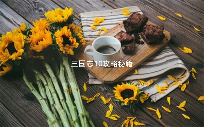 三国志10攻略秘籍