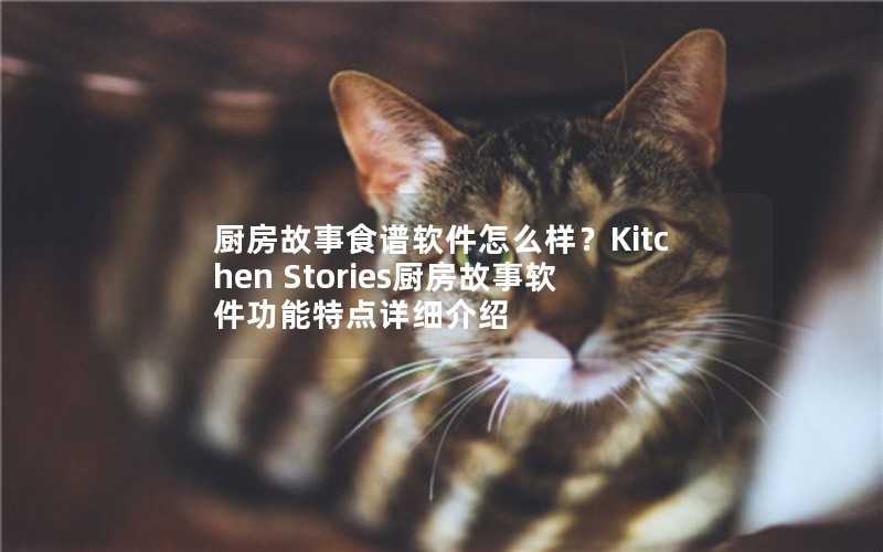 厨房故事食谱软件怎么样？Kitchen Stories厨房故事软件功能特点详细介绍