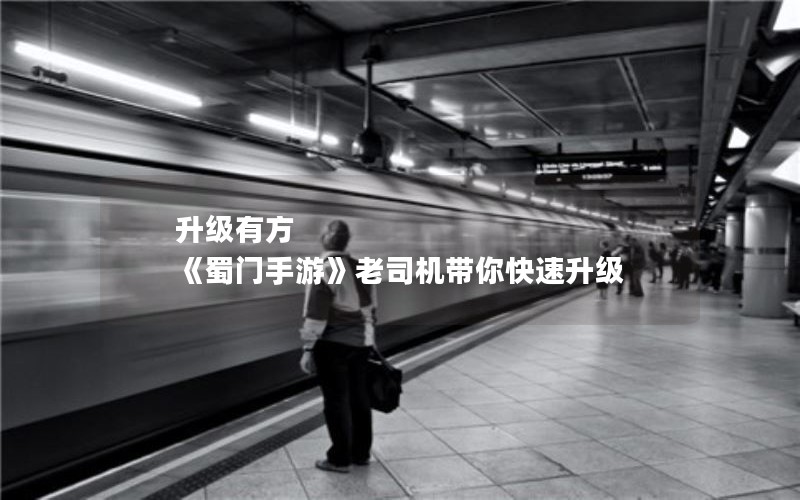 升级有方 《蜀门手游》老司机带你快速升级