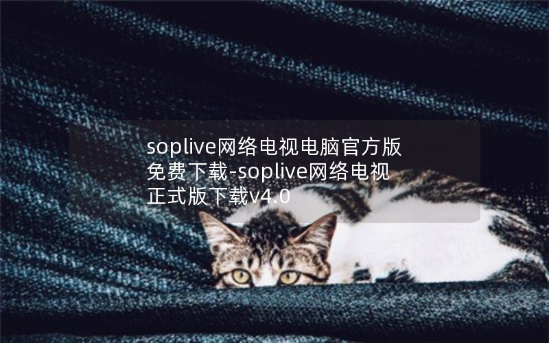 soplive网络电视电脑官方版免费下载-soplive网络电视正式版下载v4.0