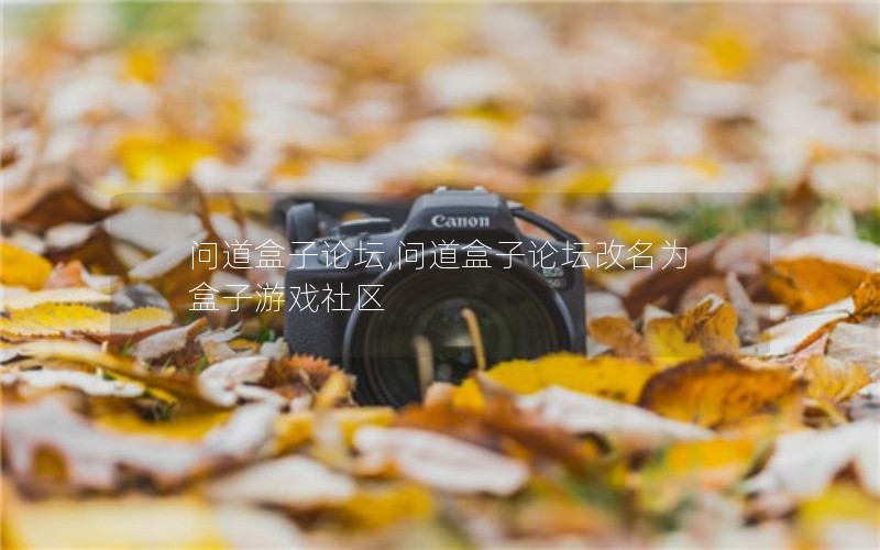 问道盒子论坛,问道盒子论坛改名为盒子游戏社区