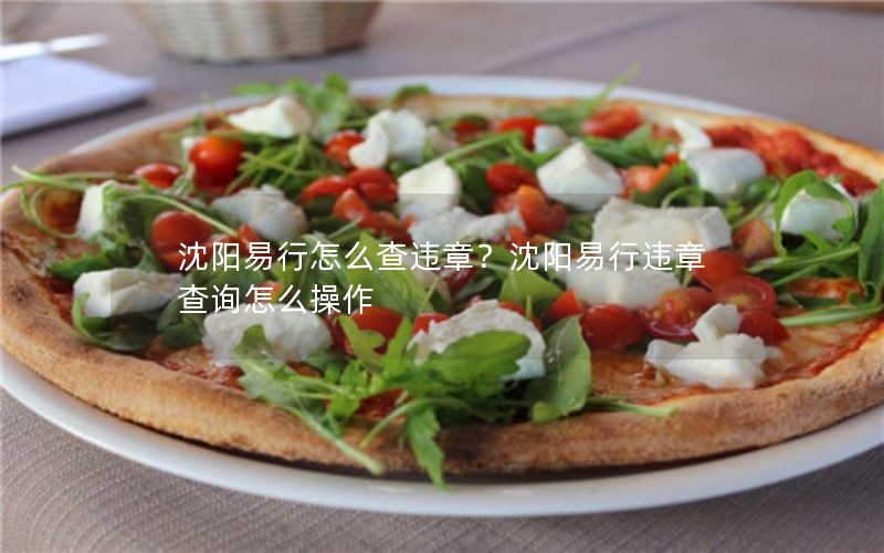 沈阳易行怎么查违章？沈阳易行违章查询怎么操作