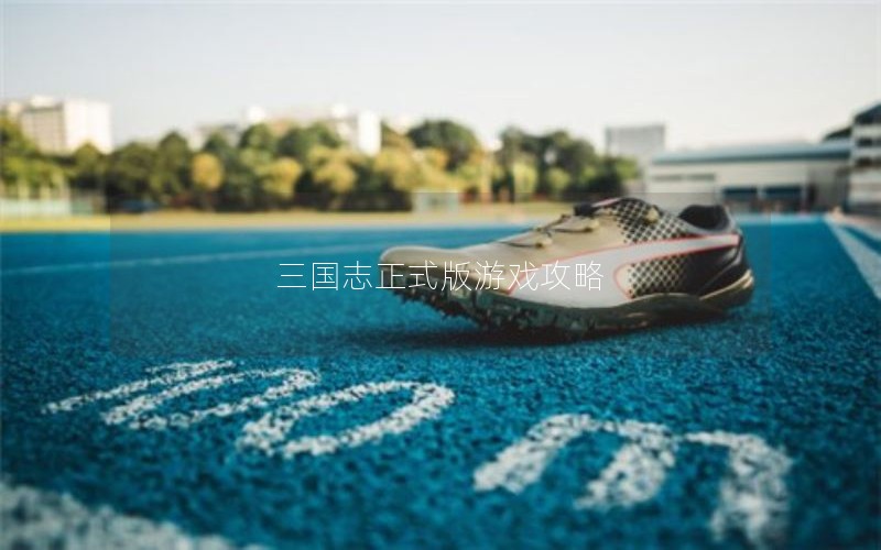 三国志正式版游戏攻略 三国志正式版游戏攻略