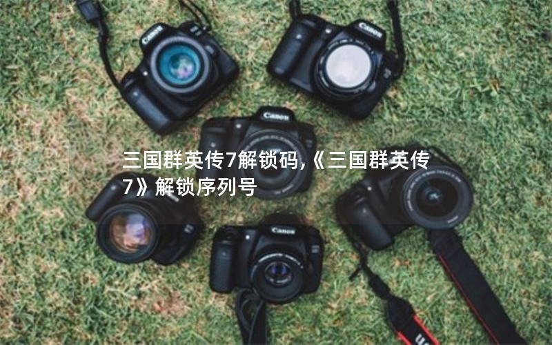 三国群英传7解锁码,《三国群英传7》解锁序列号