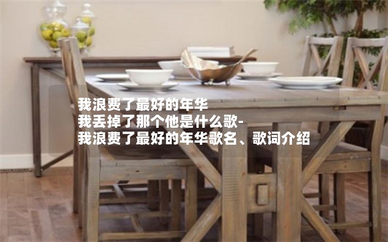 我浪费了最好的年华 我丢掉了那个他是什么歌-我浪费了最好的年华歌名、歌词介绍