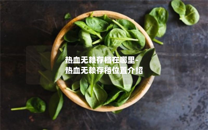 热血无赖存档在哪里-热血无赖存档位置介绍