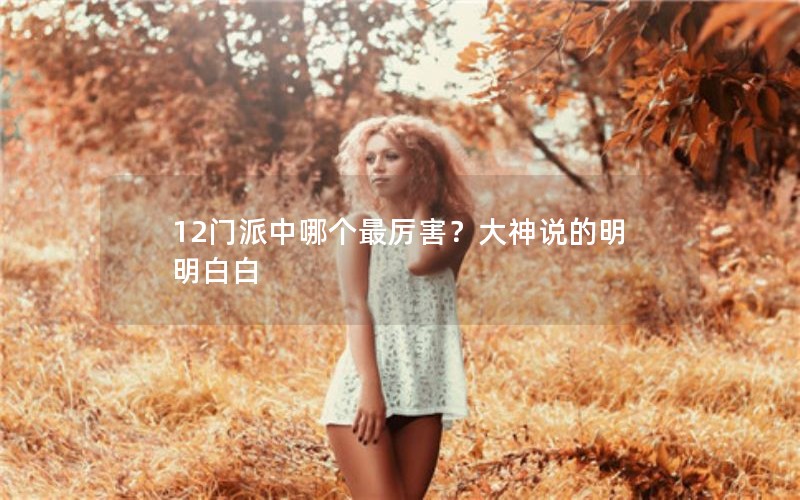 12门派中哪个最厉害？大神说的明明白白