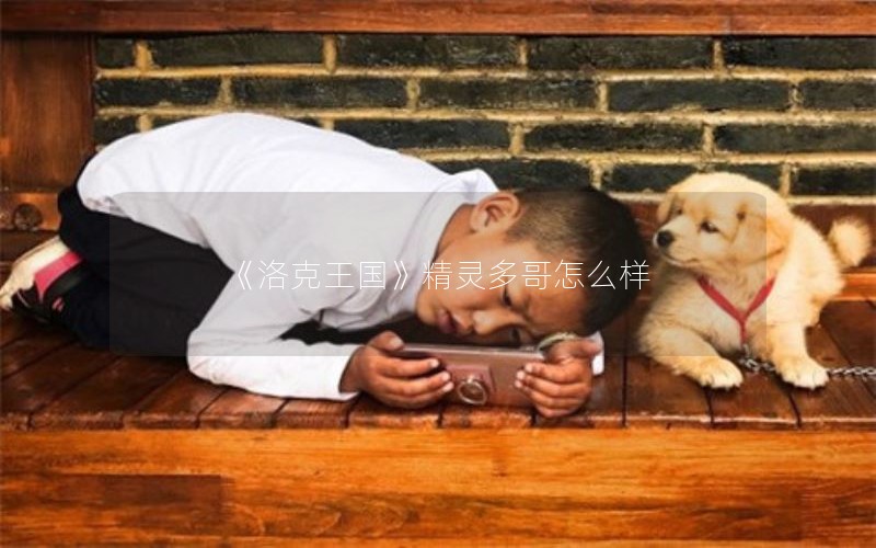 《洛克王国》精灵多哥怎么样