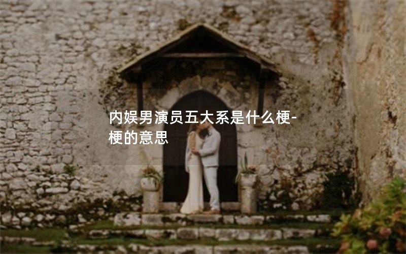 内娱男演员五大系是什么梗-梗的意思