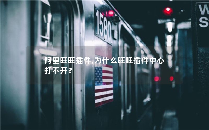 阿里旺旺插件,为什么旺旺插件中心打不开？