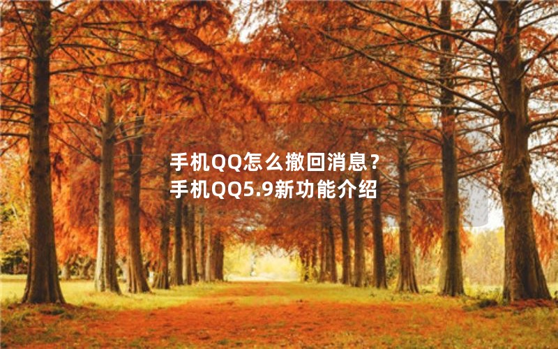 手机QQ怎么撤回消息？ 手机QQ5.9新功能介绍