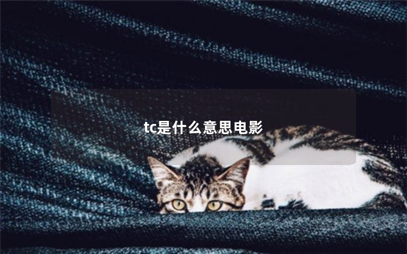 tc是什么意思电影