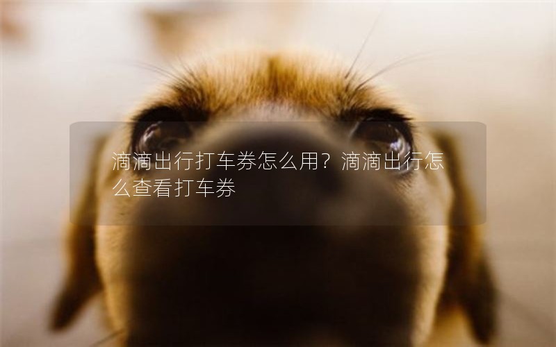 滴滴出行打车券怎么用？滴滴出行怎么查看打车券