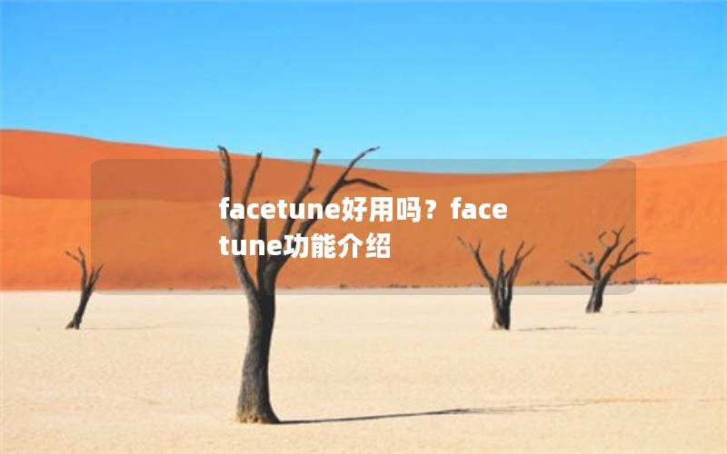 facetune好用吗？facetune功能介绍