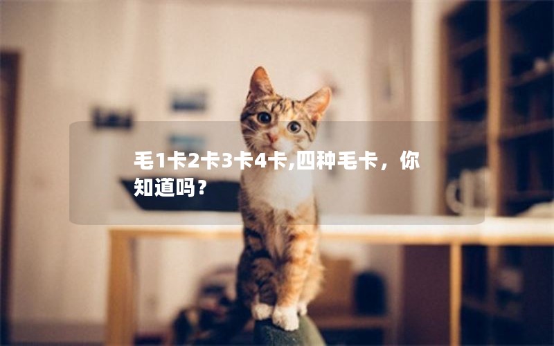 毛1卡2卡3卡4卡,四种毛卡，你知道吗？