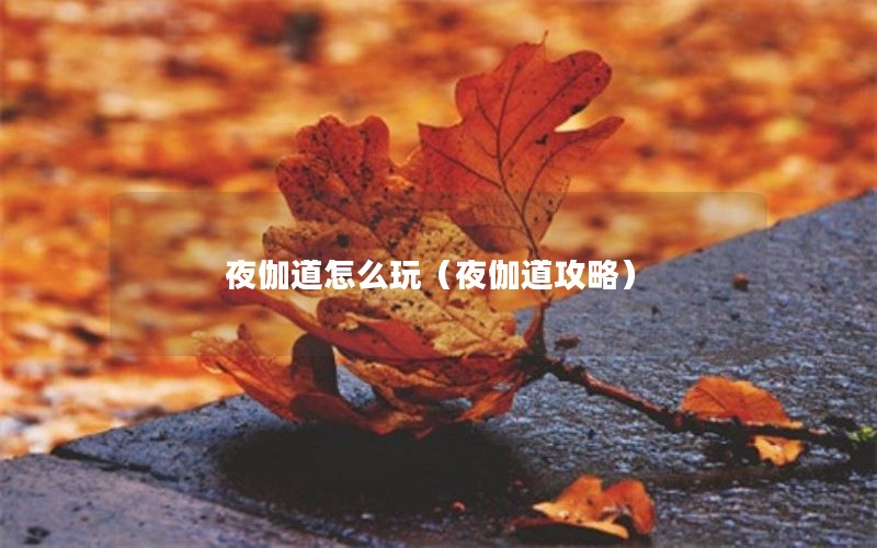 夜伽道怎么玩（夜伽道攻略）