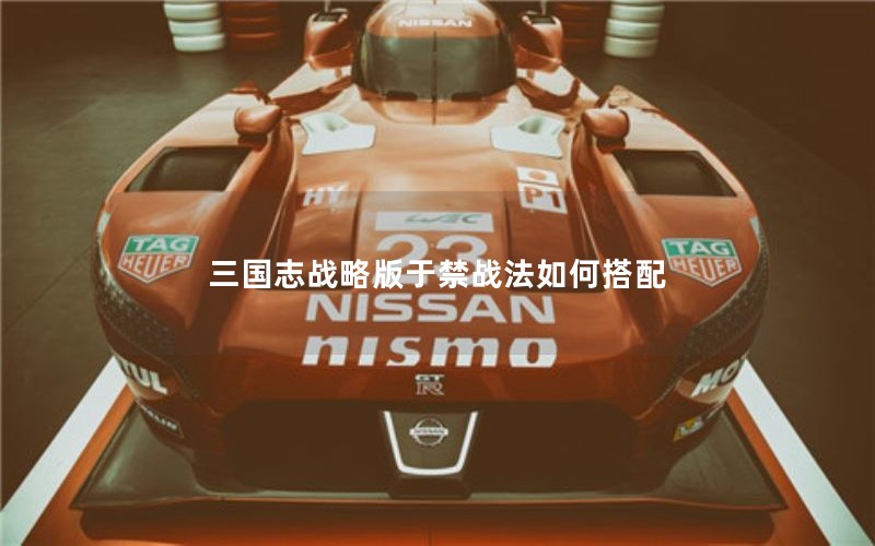 三国志战略版于禁战法如何搭配