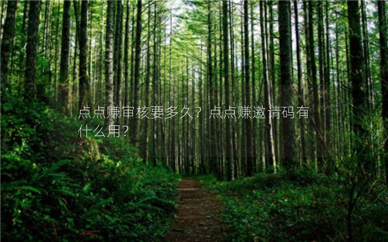 点点赚审核要多久？点点赚邀请码有什么用？