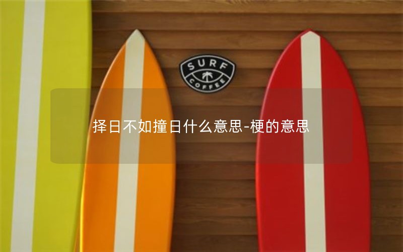 择日不如撞日什么意思-梗的意思