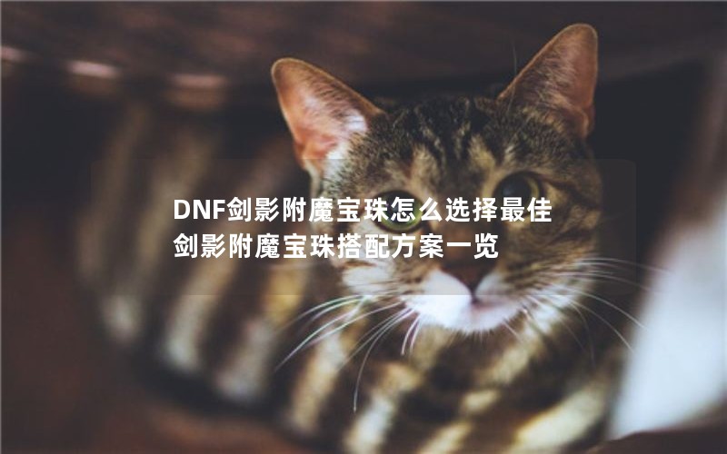 DNF剑影附魔宝珠怎么选择最佳 剑影附魔宝珠搭配方案一览