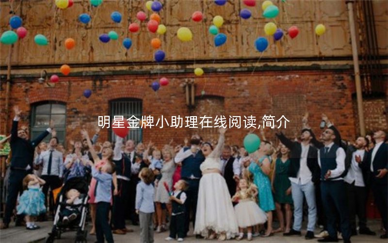 明星金牌小助理在线阅读,简介