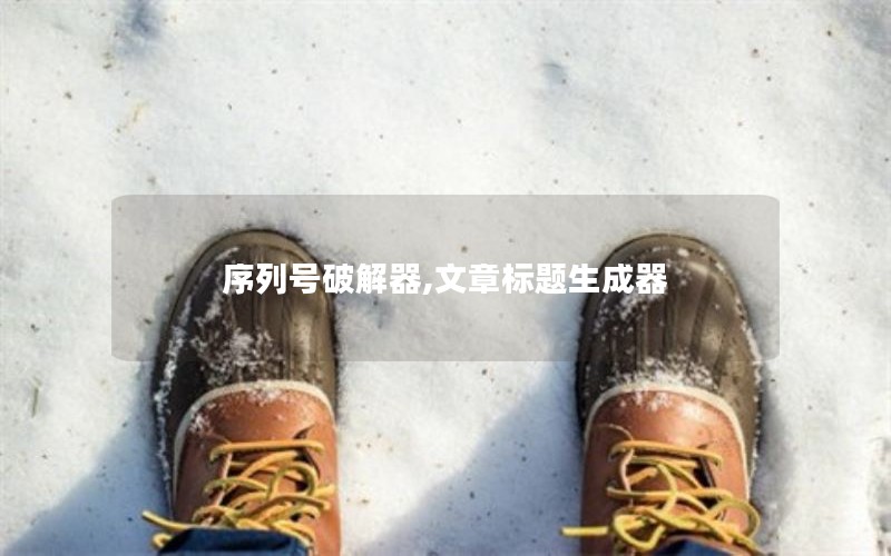 序列号破解器,文章标题生成器