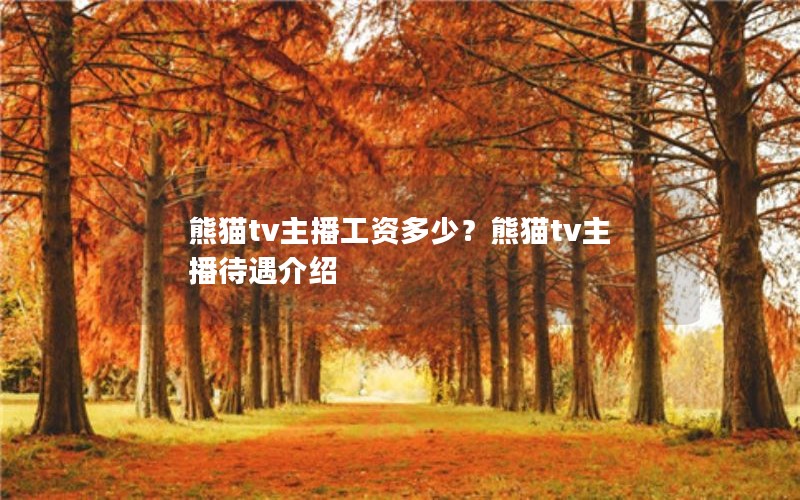 熊猫tv主播工资多少？熊猫tv主播待遇介绍