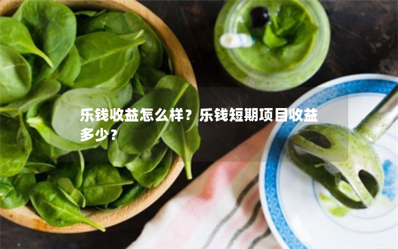 乐钱收益怎么样？乐钱短期项目收益多少？