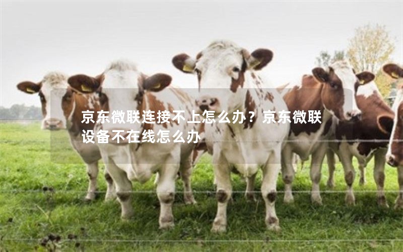 京东微联连接不上怎么办?京东微联设备不在线怎么办 京东微联连接不上怎么办?京东微联设备不在线怎么办