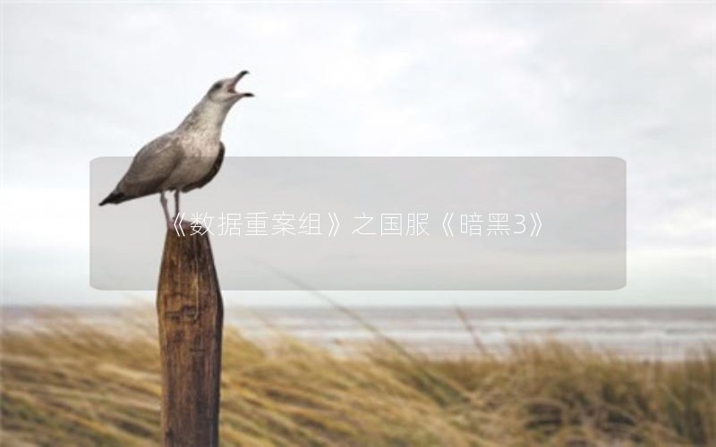 《数据重案组》之国服《暗黑3》