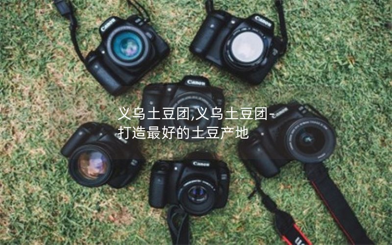 义乌土豆团,义乌土豆团-打造最好的土豆产地