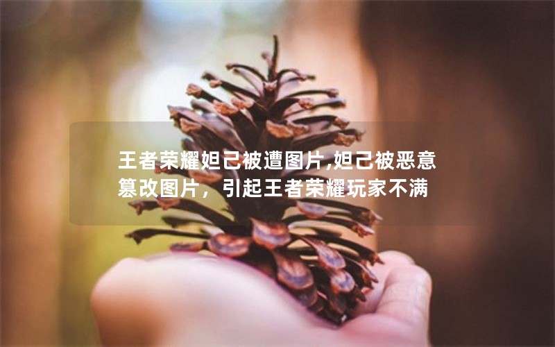 王者荣耀妲己被遭图片,妲己被恶意篡改图片，引起王者荣耀玩家不满