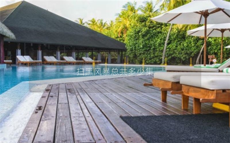 扫黑风暴总共多少集