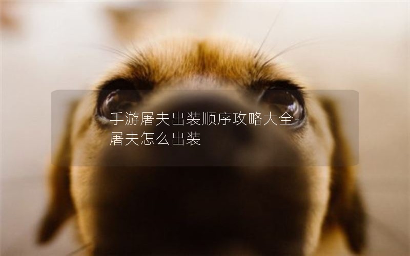 手游屠夫出装顺序攻略大全-屠夫怎么出装