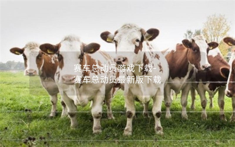 赛车总动员游戏下载-赛车总动员最新版下载 赛车总动员游戏下载-赛车总动员最新版下载