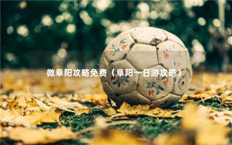 微阜阳攻略免费（阜阳一日游攻略）