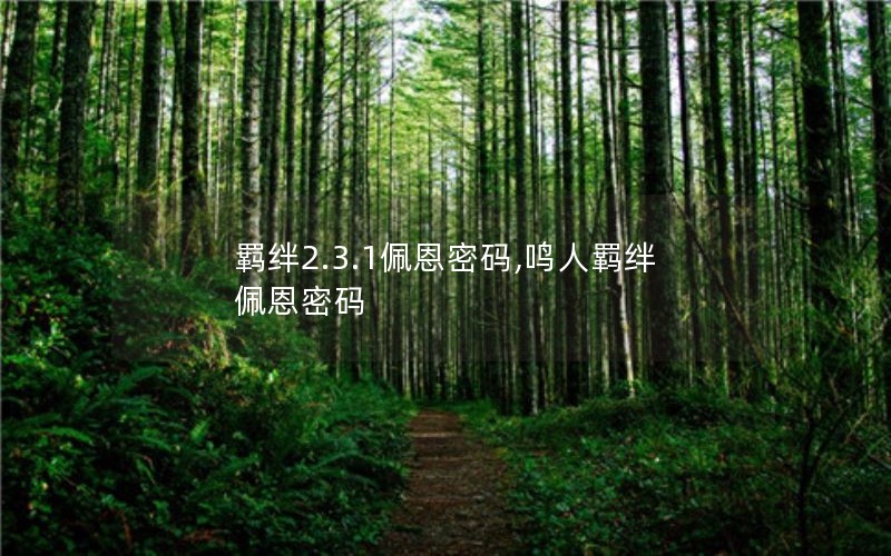 羁绊2.3.1佩恩密码,鸣人羁绊佩恩密码