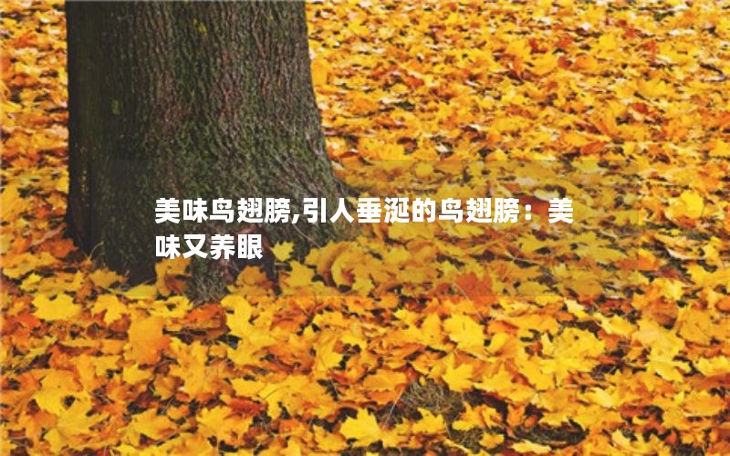 美味鸟翅膀,引人垂涎的鸟翅膀:美味又养眼 美味鸟翅膀,引人垂涎的鸟翅膀:美味又养眼