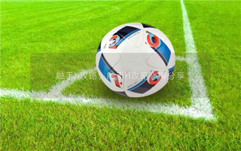 触手h攻略，触手H攻略心得分享